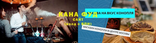 молекула духа Пестово