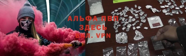 молекула духа Пестово