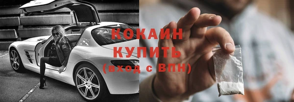 ГАЛЛЮЦИНОГЕННЫЕ ГРИБЫ Пересвет