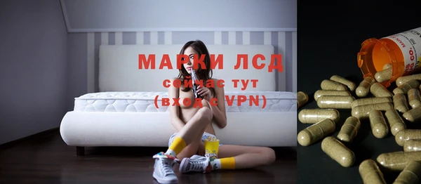 ГАЛЛЮЦИНОГЕННЫЕ ГРИБЫ Пересвет