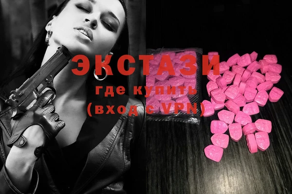 молекула духа Пестово