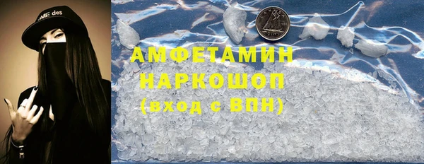 молекула духа Пестово