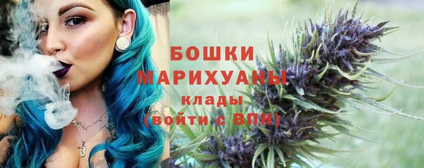молекула духа Пестово