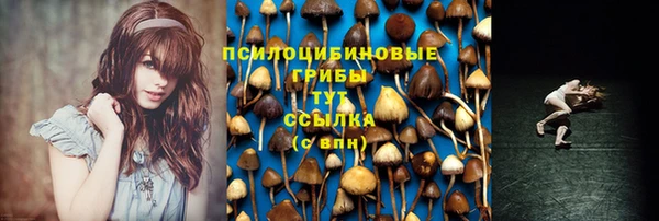 молекула духа Пестово