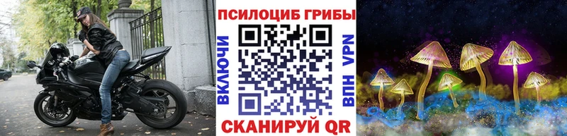 Галлюциногенные грибы Psilocybe  цены наркотик  Ханты-Мансийск 