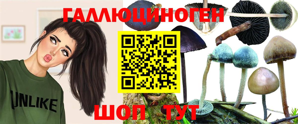 Ханты-Мансийск  Псилоцибиновые грибы Psilocybe  Вход с VPN 